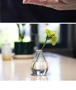 Dettaglio ravvicinato di un vaso di vetro minimalista a goccia con garofano verde