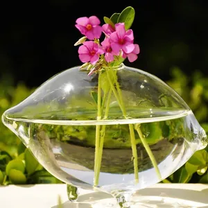 Elegante jarrón de cristal transparente con forma de oliva para flores hidropónicas