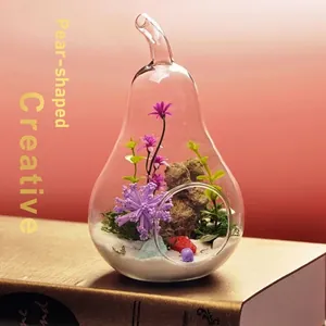 Creative Transparent Borosilicate Glass Vase Pear Apple Shape Micro Landscape Terrarium For Home Office Decor Ornament