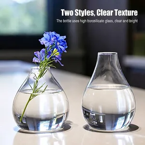 Coppia di vasi minimalisti in vetro borosilicato trasparente per idroponica e decor