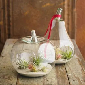 Set of creative pear and apple shaped transparent glass vases for micro landscape decor