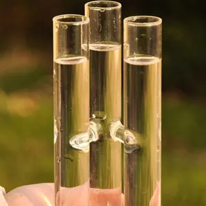 Minimalist transparent glass test tube vase for hydroponic plants and home decor