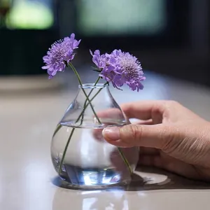 Piccolo vaso in vetro trasparente minimalista per fiori e coltura idroponica casa