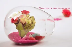 Elegant creative side-opening clear glass vase ideal for micro landscape plants and decor