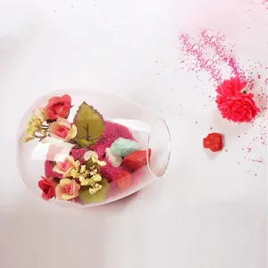 Creative side-opening transparent glass vase for micro-landscapes and hydroponics
