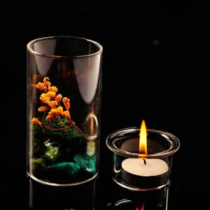 Kreatives europäisches DIY Glas-Bonsai-Kerzenhalter-Set mit Dekomoos und einem Teelicht