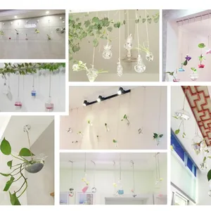 Jarrones colgantes de cristal transparente para hidroponía y decoración