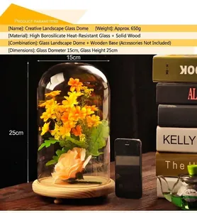 Creative glass landscape dome with wooden base for DIY micro-landscapes and preserved flowers