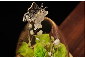 Close-up of crystal butterfly on top of a glass dome with green preserved roses.