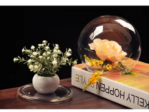 Clear spherical glass dome display case for creative DIY micro landscape home decoration.
