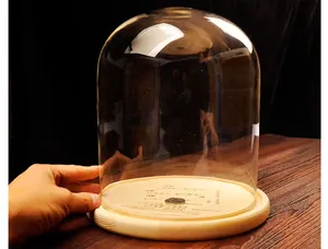 Close-up of a clear glass display dome with a natural wooden base for DIY micro landscapes