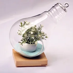 Detailed close-up of a bulb-shaped glass terrarium with flowers on a wooden base