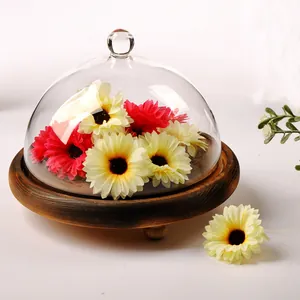 Elegant vintage glass cloche bell jar with rustic wooden base for micro landscape decor