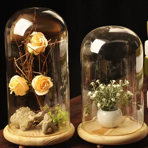 DIY glass display cloche dome with natural wooden base for home decor