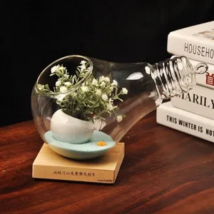 Detail of a creative lightbulb-shaped glass terrarium vase on a rustic wooden base