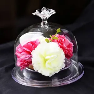 DIY Creative Transparent Glass Cloche Eternal Flower Micro Landscape Vase With Base Decorative Tabletop Gift Home Ornament