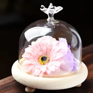 Creative transparent glass dome with wooden base for preserved flower and micro landscape