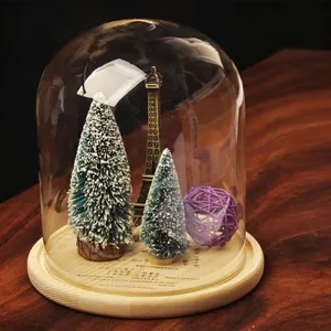 Creative Clear Borosilicate Glass Display Dome Cloche With Natural Wood Base For DIY Micro Landscape Home Decor Ornament