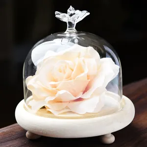 Elegant transparent glass dome with wooden base and cream rose for DIY home decor