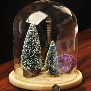 Creative clear glass display dome with natural wooden base for DIY micro-landscapes decor