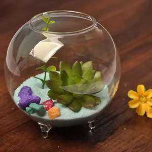 Transparent tripod glass bowl with succulent and colorful sand for DIY micro landscape