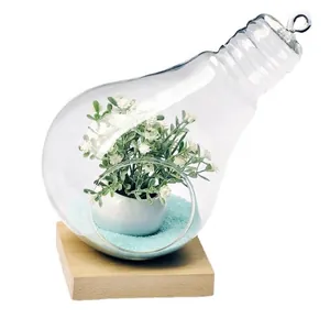 Creative light bulb glass terrarium vase with wooden base and miniature plant decor