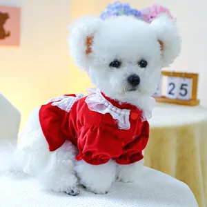 Schönes rotes Samt Hundeprinzessinnenkleid mit weißer Spitze und Perlen für kleine Haustiere.