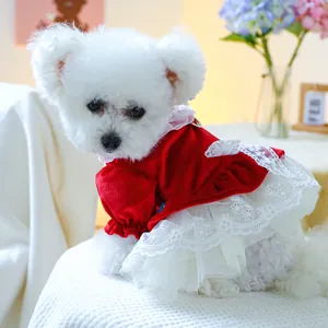 Details des süßen Haustier-Prinzessinnenkleids, roter Samt und weiße Spitze für kleine Hunde.