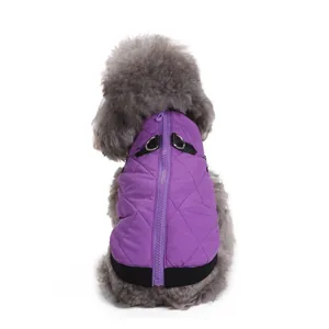 Close-up of purple quilted dog winter jacket with zipper closure and D-rings