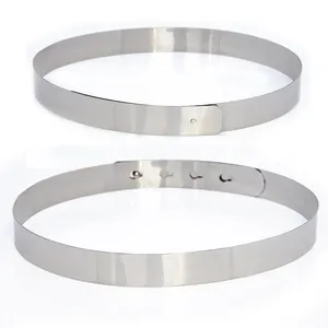 Detalle de cinturón de metal con cierre de hebilla ajustable y acabado metálico plateado.
