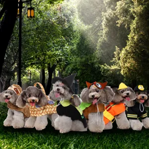Drôle de vêtements pour chien animal mignon costume de chiot fête de vacances vêtement