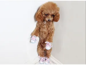 Breathable pet dog shoes for autumn and winter, cute canvas sneakers for small dogs and puppies.