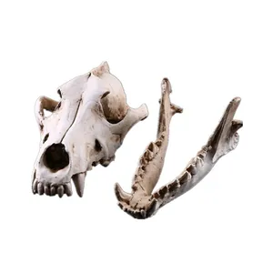 Resin Animal Skull Model Wolf Skeleton Figurine Halloween Gift Home Decor Spooky Table Ornament Replica