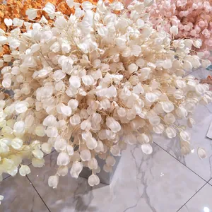 Detail shot of artificial white lantern flowers bouquet silk flower home decor backdrop.