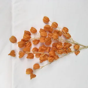 Close-up artificial orange lantern fruit branch, decorative silk flower for home and wedding.