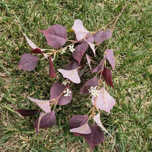 Artificial eucalyptus leaves branches fake plant wall background home wedding decor red foliage