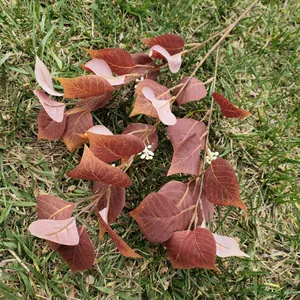 Artificial red Bodhi leaves branch for home decor, wedding arrangement and plant wall background.