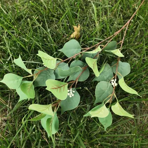 Artificial Bodhi leaves branch green plant decoration for home wedding party wall decor