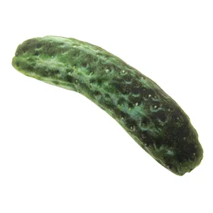 Juguete de peluche para mascotas con forma de pepino, material de lona duradero para perros.