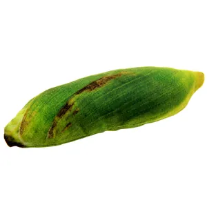 Simulación verde verdura fruta felpa mascota mordedura resistente lona juguete perro