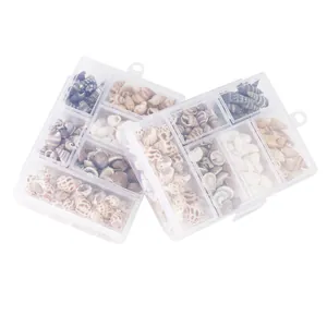 Natural mixed spiral seashells and conch set in clear storage box for DIY craft projects.