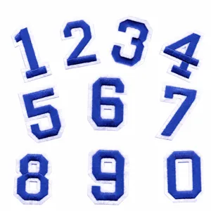 Toppa ricamata con numeri blu e bianchi, vista dettagliata che mostra le cifre da 0 a 9.