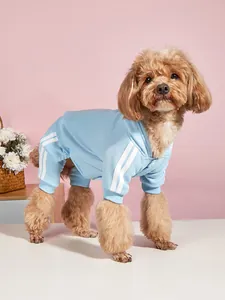 Primo piano di un cane che indossa una tuta con cappuccio azzurra elegante con strisce bianche.