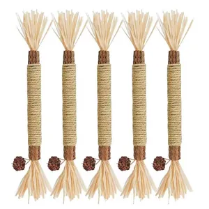 Cat chew toy silvervine stick raffia gall fruit molar teething toy detail view 5pcs
