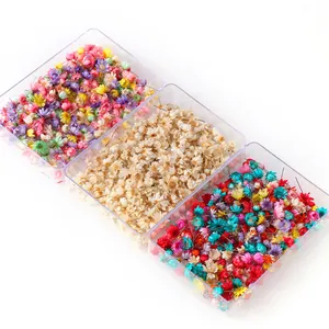 Natural dried flowers DIY material small star daisy flower heads boxed wholesale set for crafts.