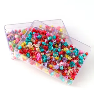 Colorful dried star flower heads in clear box, natural DIY craft floral material for resin art.