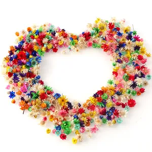 Colorful natural dried flower heads arranged in heart shape, perfect for DIY crafts and decor.