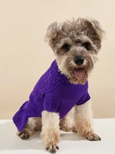 Cute small dog wearing purple cable knit pet sweater, soft warm winter apparel detail shot.
