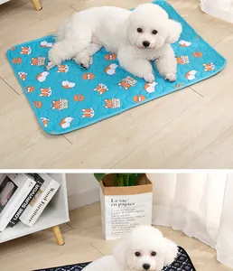 Weißer Hund auf einer blauen waschbaren Hundeunterlage mit Cartoon-Muster zu Hause.