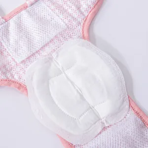 Cute pink mesh dog sanitary pants for small dogs puppy period protection with absorbent pad.